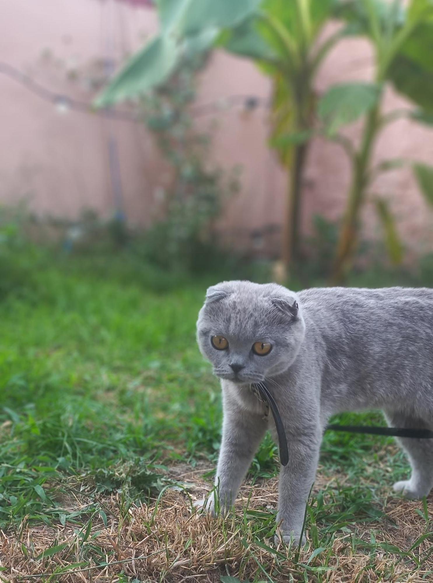 Vila Noar Avlonya Dış mekan fotoğraf